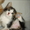 Смышлёный котёнок-малыш Карлос (1,5 мес.) в добрые руки - Изображение #2, Объявление #340681