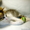 Ласковая, нежная девочка-котёнок Маруся (1,5 мес.) в добрые руки - Изображение #2, Объявление #340683