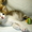 Ласковая, нежная девочка-котёнок Маруся (1,5 мес.) в добрые руки - Изображение #3, Объявление #340683