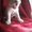 Очаровательные щенки лабрадоры - Изображение #3, Объявление #339439