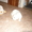 щенки голден ритривера - Изображение #1, Объявление #410010