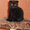 Котята шотландской вислоухой кошки - Изображение #3, Объявление #512092