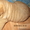 Шарпея щенки от двукратного чемпиона России - Изображение #1, Объявление #558768