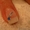 Укрепление ногтей Биогелем, наращивание ногтей гелем - на дому - Изображение #5, Объявление #583709