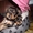 Щенки йоркширского терьера - продаю - Изображение #2, Объявление #584454