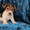 Милые щеночки джек рассела - Изображение #4, Объявление #662032