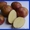 Продам картофель бесплатная доставка - Изображение #2, Объявление #977960