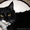 Коты Гиганты породы Мейн Кун - Изображение #6, Объявление #1201519