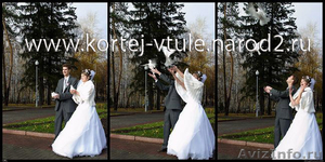 Голуби на свадьбу в Туле, заказ голубей на торжество, свадебные голуби  - Изображение #1, Объявление #110376