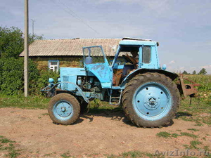 трактор мтз-80 беларус - Изображение #1, Объявление #342659