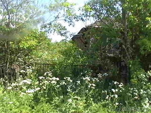 Дом деревянный в деревне - Изображение #7, Объявление #292460