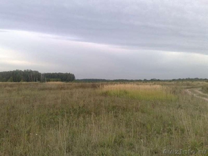 Продаётся земля 9га д.Кузьмищево Ясногорский р-он 110км от МКАД - Изображение #3, Объявление #460994