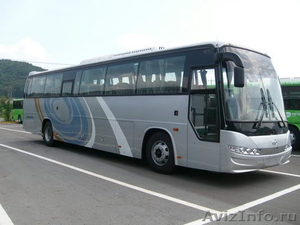 Продаём автобусы Дэу Daewoo  Хундай  Hyundai  Киа  Kia  в наличии Омске.Туле - Изображение #4, Объявление #848717