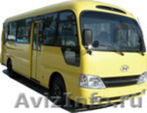 Продаём автобусы Дэу Daewoo  Хундай  Hyundai  Киа  Kia  в наличии Омске.Туле - Изображение #6, Объявление #848717