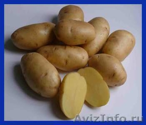 Продам картофель бесплатная доставка - Изображение #1, Объявление #977960