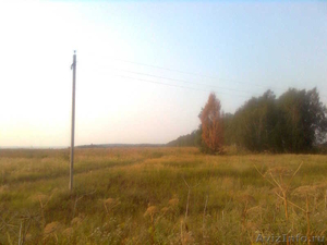 Земельный участок 1 гектар для дачного строительства в д. Натальинка - Изображение #2, Объявление #1284765