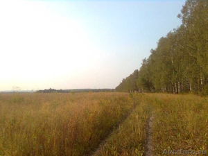Земельный участок 1 гектар для дачного строительства в д. Натальинка - Изображение #1, Объявление #1284765