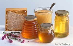 Продам мёд, прополис и продукты пчеловодства - Изображение #3, Объявление #1626674